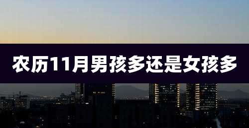 农历11月男孩多还是女孩多