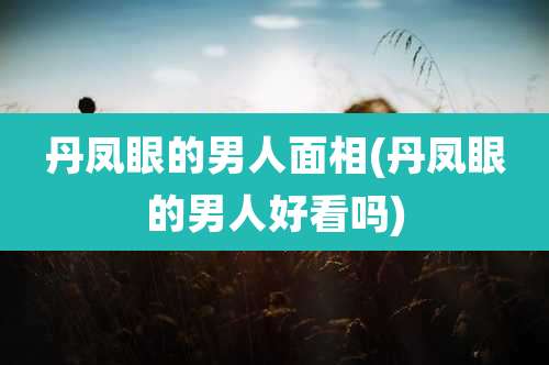 丹凤眼的男人面相(丹凤眼的男人好看吗)