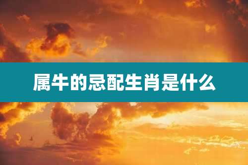 属牛的忌配生肖是什么