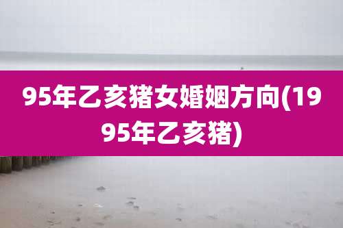95年乙亥猪女婚姻方向(1995年乙亥猪)