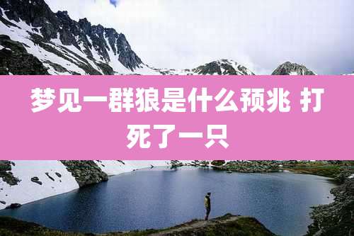 梦见一群狼是什么预兆 打死了一只