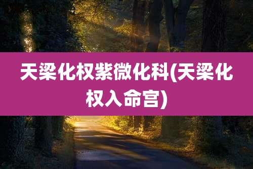 天梁化权紫微化科(天梁化权入命宫)