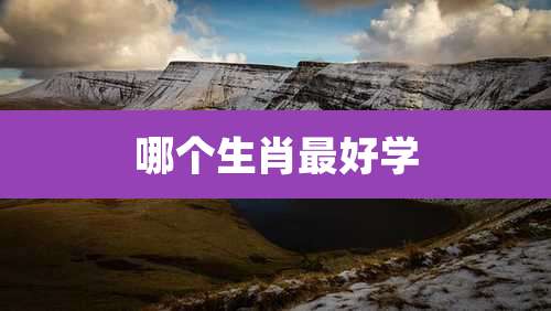 哪个生肖最好学