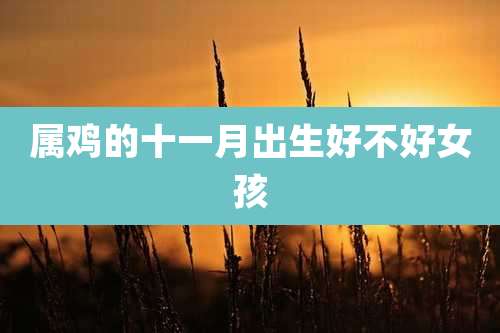 属鸡的十一月出生好不好女孩