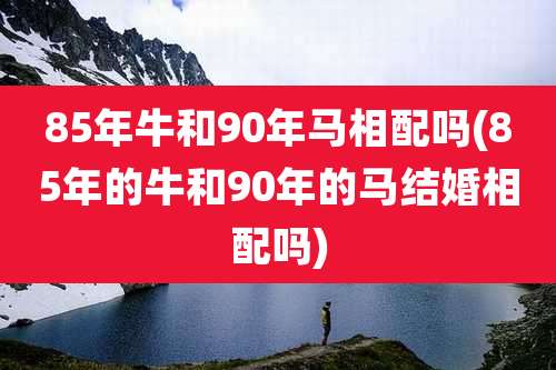 85年牛和90年马相配吗(85年的牛和90年的马结婚相配吗)