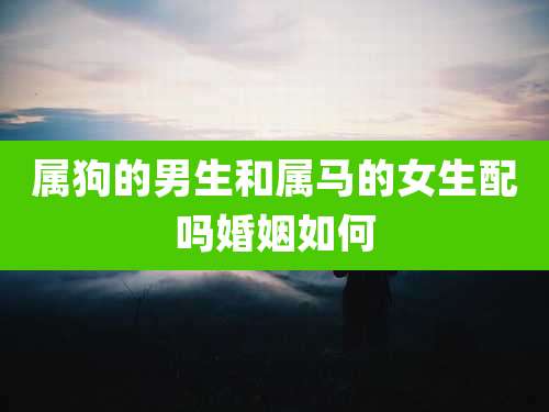 属狗的男生和属马的女生配吗婚姻如何