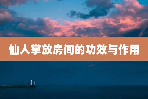 仙人掌放房间的功效与作用