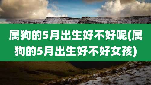 属狗的5月出生好不好呢(属狗的5月出生好不好女孩)