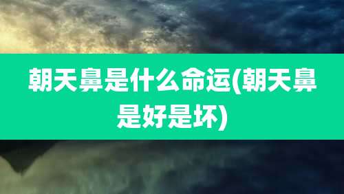 朝天鼻是什么命运(朝天鼻是好是坏)