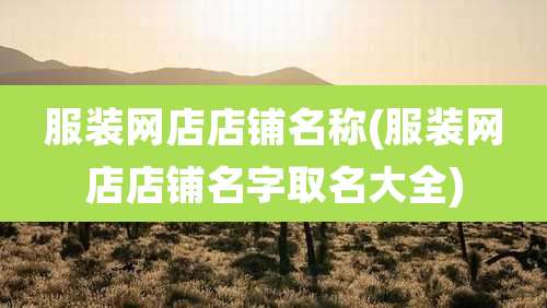 服装网店店铺名称(服装网店店铺名字取名大全)