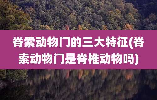 脊索动物门的三大特征(脊索动物门是脊椎动物吗)