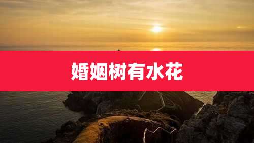 婚姻树有水花