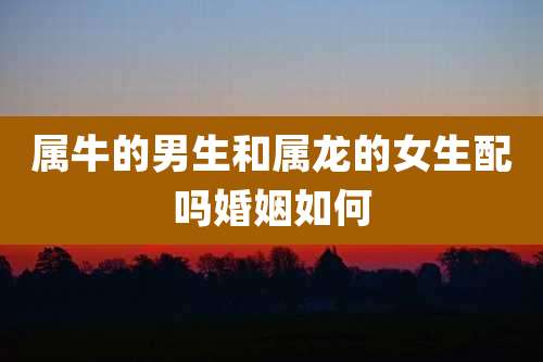 属牛的男生和属龙的女生配吗婚姻如何