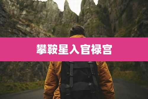 攀鞍星入官禄宫