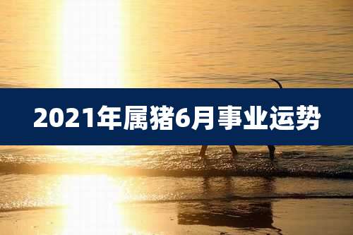 2021年属猪6月事业运势