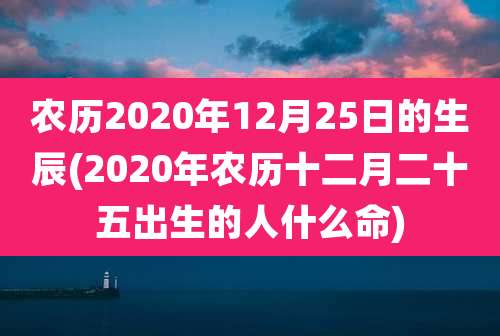 农历2020年12月25日的生辰(2020年农历十二月二十五出生的人什么命)