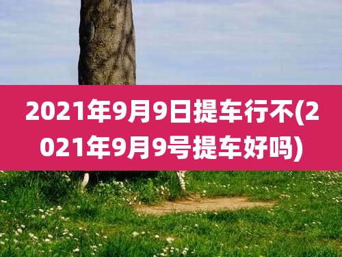 2021年9月9日提车行不(2021年9月9号提车好吗)