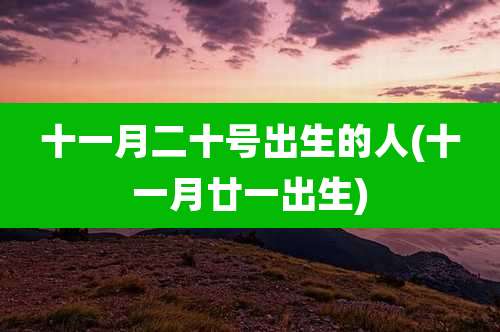 十一月二十号出生的人(十一月廿一出生)