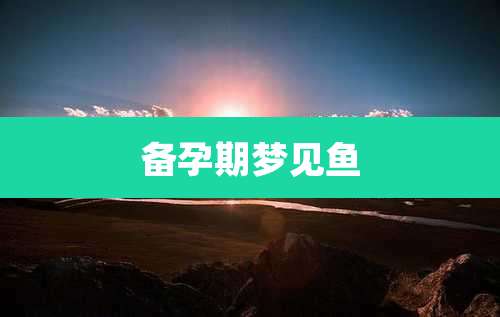 备孕期梦见鱼