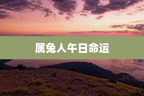 属兔人午日命运