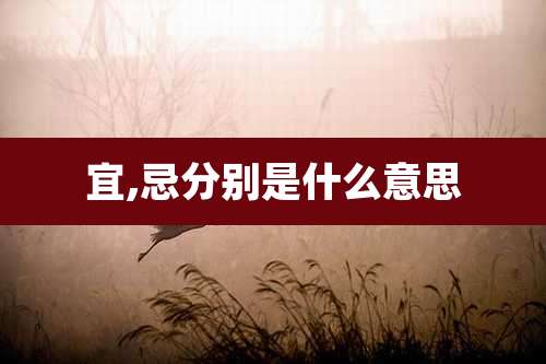 宜,忌分别是什么意思