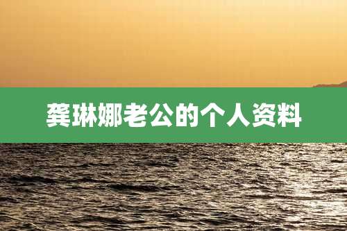 龚琳娜老公的个人资料