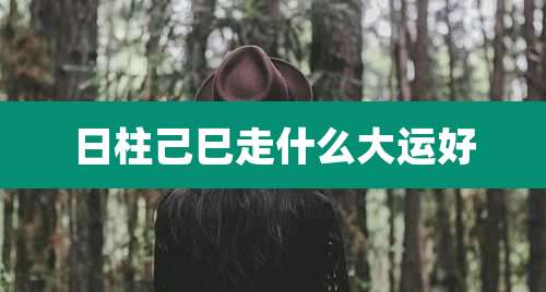 日柱己巳走什么大运好