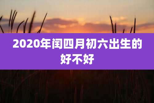 2020年闰四月初六出生的好不好