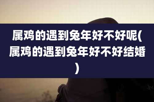 属鸡的遇到兔年好不好呢(属鸡的遇到兔年好不好结婚)