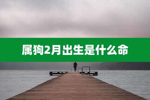 属狗2月出生是什么命