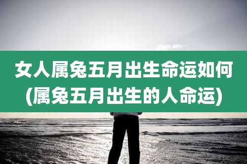 女人属兔五月出生命运如何(属兔五月出生的人命运)