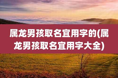 属龙男孩取名宜用字的(属龙男孩取名宜用字大全)