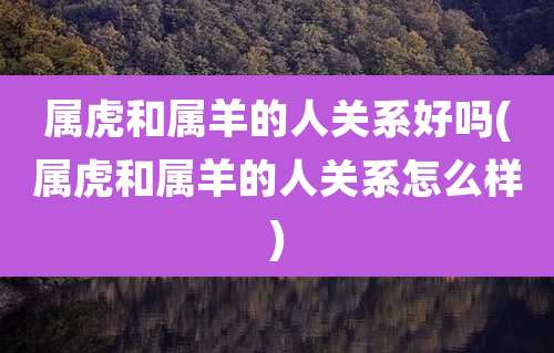 属虎和属羊的人关系好吗(属虎和属羊的人关系怎么样)