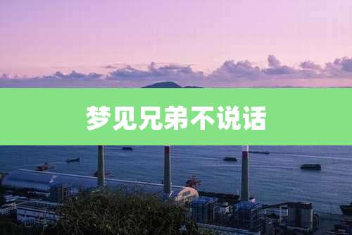 梦见兄弟不说话