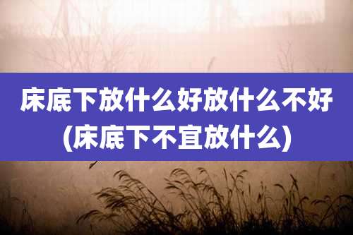 床底下放什么好放什么不好(床底下不宜放什么)