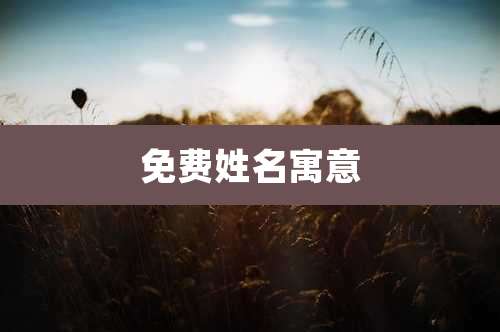 免费姓名寓意