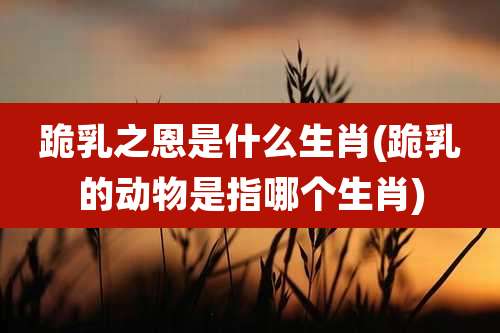 跪乳之恩是什么生肖(跪乳的动物是指哪个生肖)