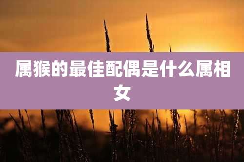 属猴的最佳配偶是什么属相女