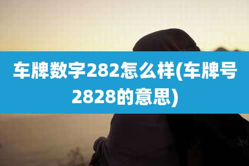 车牌数字282怎么样(车牌号2828的意思)