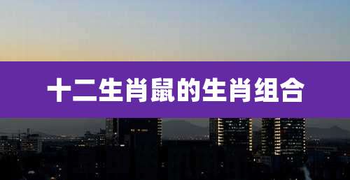 十二生肖鼠的生肖组合