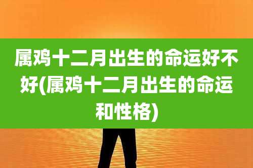 属鸡十二月出生的命运好不好(属鸡十二月出生的命运和性格)