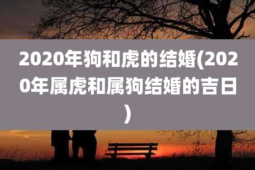 2020年狗和虎的结婚(2020年属虎和属狗结婚的吉日)