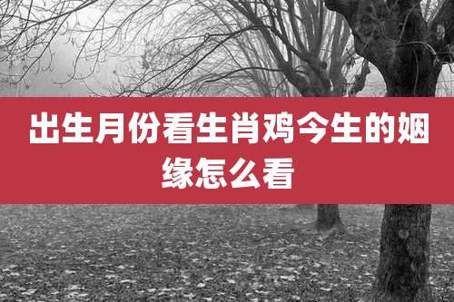 出生月份看生肖鸡今生的姻缘怎么看