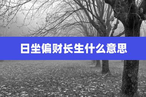 日坐偏财长生什么意思