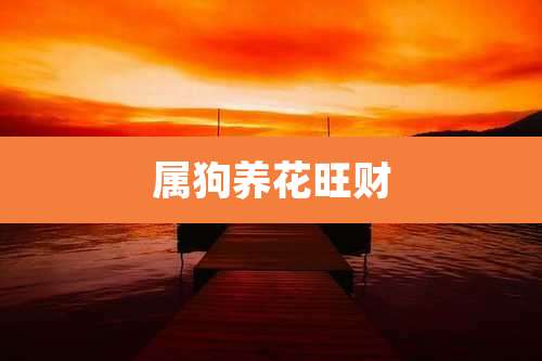 属狗养花旺财
