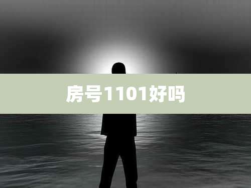 房号1101好吗