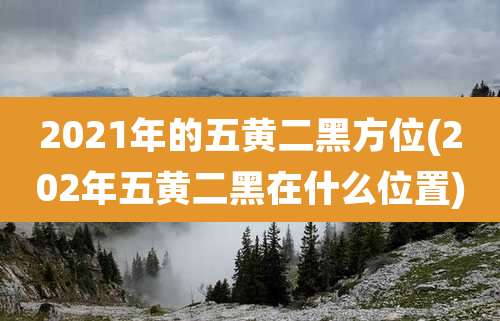2021年的五黄二黑方位(202年五黄二黑在什么位置)