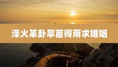 泽火革卦旱苗得雨求婚姻