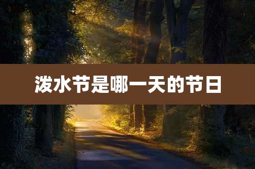 泼水节是哪一天的节日