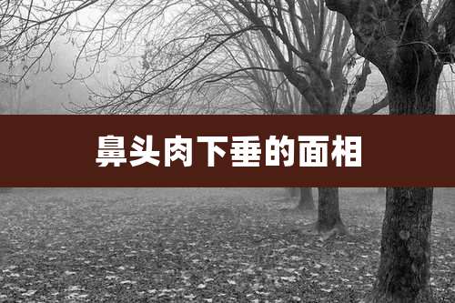 鼻头肉下垂的面相